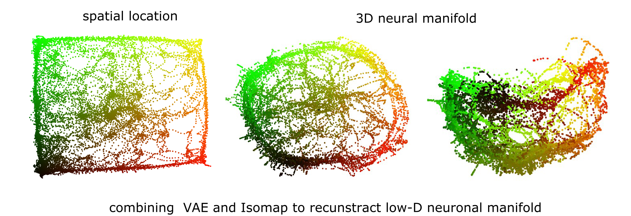 manifolds image