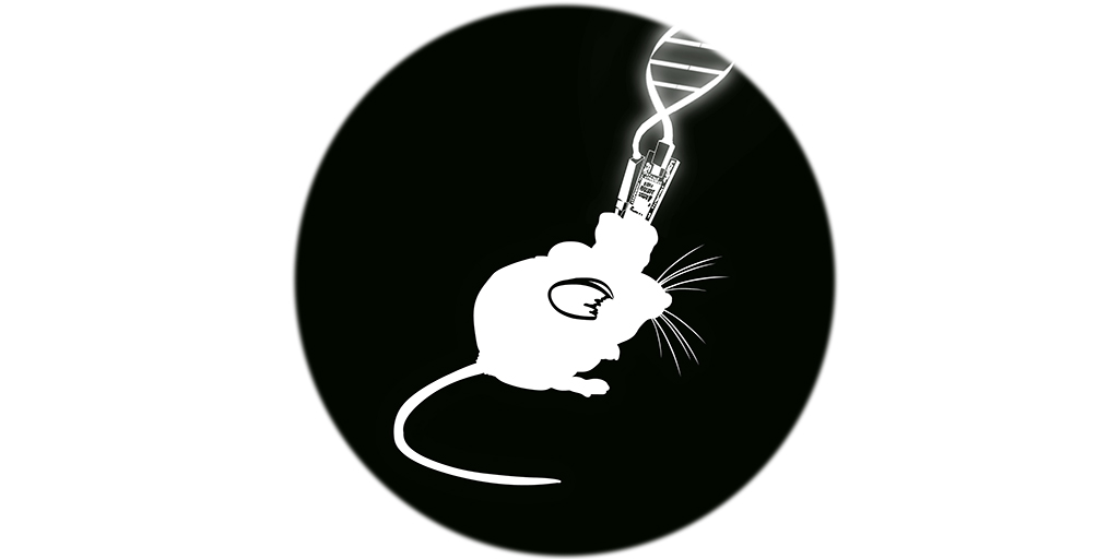 Neuronal Network and Behavior Research Group profilkép
