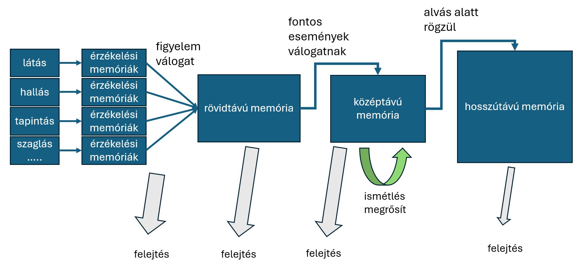 A memóriák fajtái. 