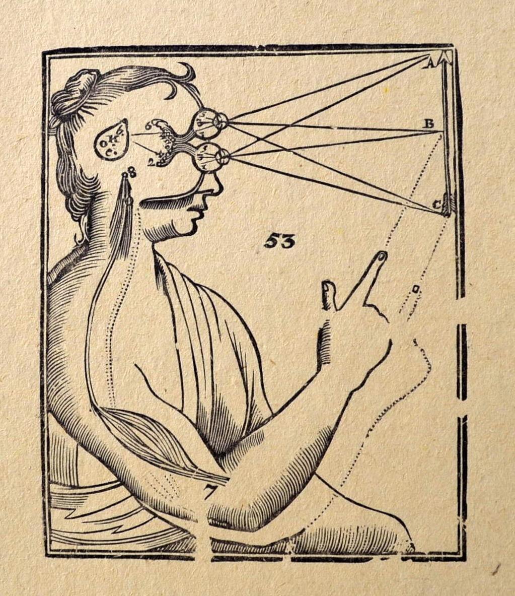 Descart rajza, hogyan alakul ki a kép agyunkban. Ő a tobozmirigybe tette a tudat székhelyét, valószínúleg azért, mert az agyunk kb. egyetlen páratlan szerve. Ott üldögélt a kicsi ember aki nézte a világ színházi előadását.