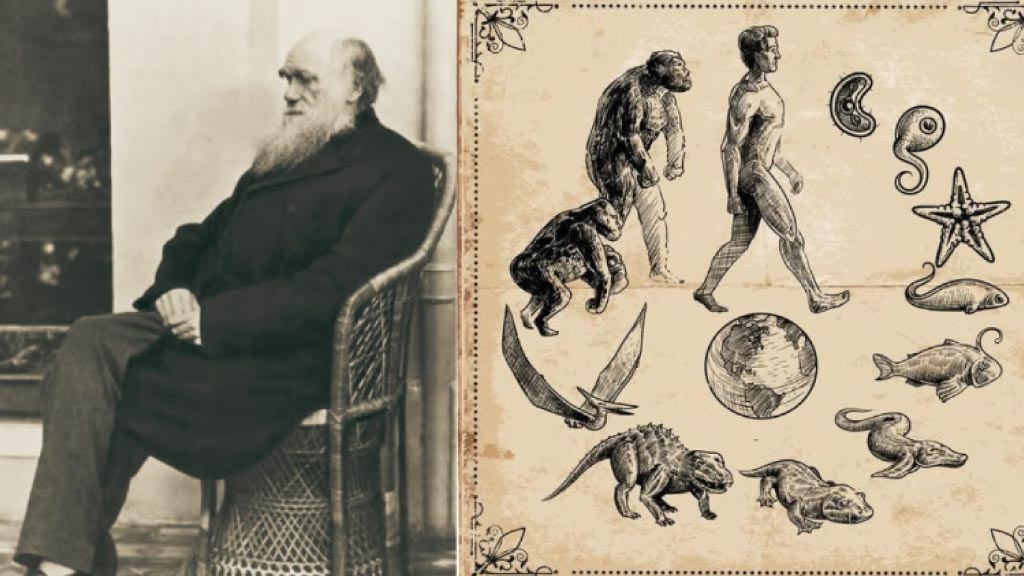 Darwinból meglehetősen szakállas ember lett, mire összeállt fejében az evolúció elmélete az utazásai során gyűjtött Big Data tapasztalataiból.