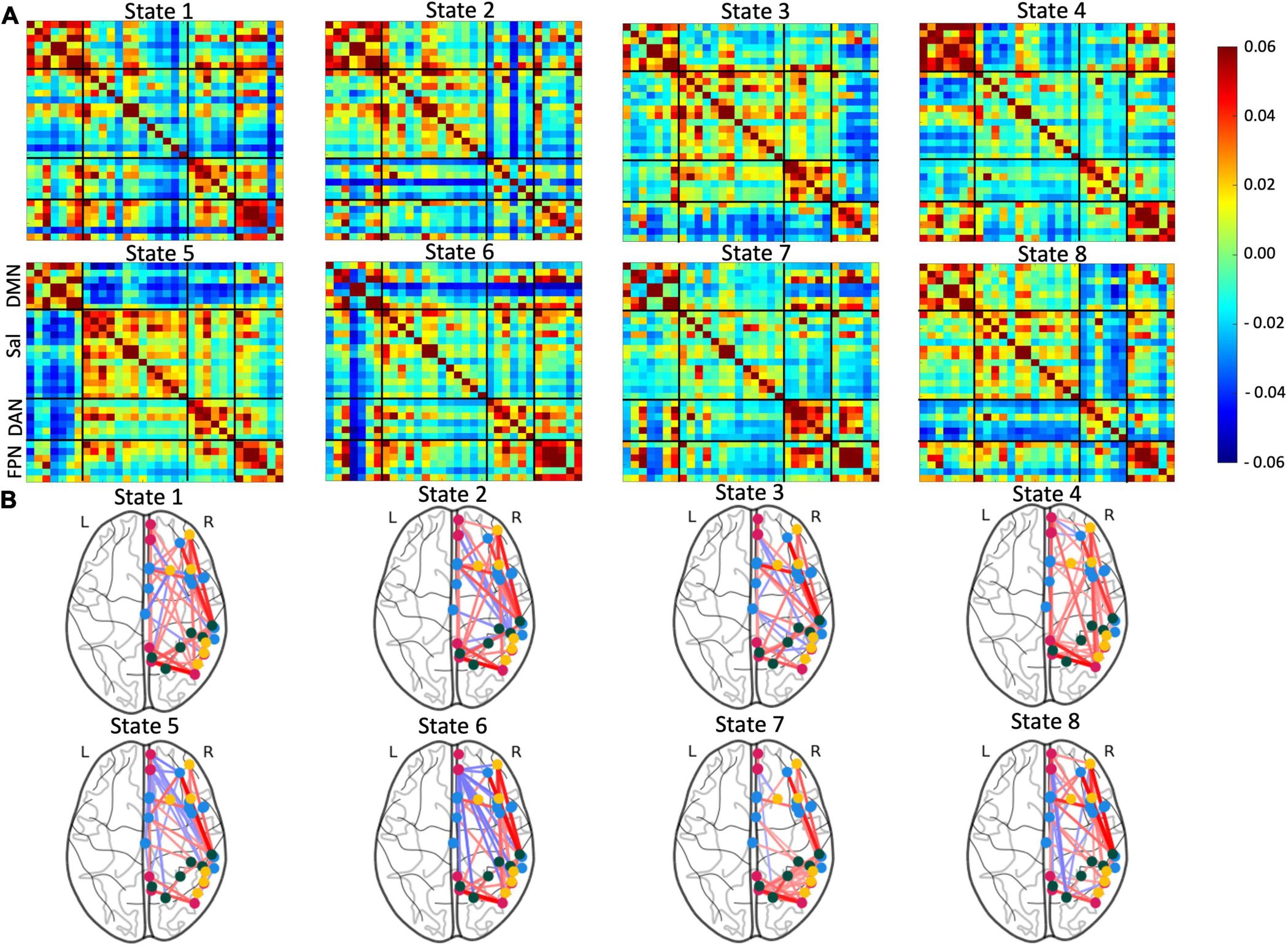 A funkcionális hálózatok azonosításának menete. A) Egy hoszabb ideig tartó fMRI vizsgálat eredménye az egyes agyterületek aktivitása közötti koherencia (együtt mozgás) alapján felbontható időszakaszokra, amiken belül hasonló módon működnek együtt az agyterületek. Az egyes állapotokban (state 1-8) a területek közötti koherencia más mintázatot mutat. B) Bemutatja, hogy az egyes állapotokban milyen erős az egyes területek közötti kölcsönhatás. Piros a kapcsolatok erősödését, kék a gyengülését jelzi.