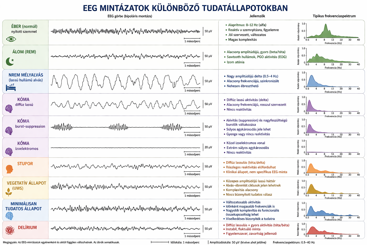 Az egyes tudatállapotokra jellegzetes EEG mintázatok jellemzőek. De ha igazán a dolgok mélyére akarunk ásni a sokcsatornás módszerek (sokcsatornás EEG, fMRI) pontosabb képet adnak, mert azoknál az összefüggések mintázata is felderíthető.