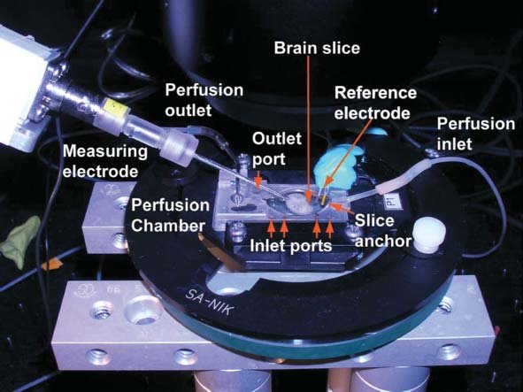 In vitro elektrofiziológiai felszerelés.