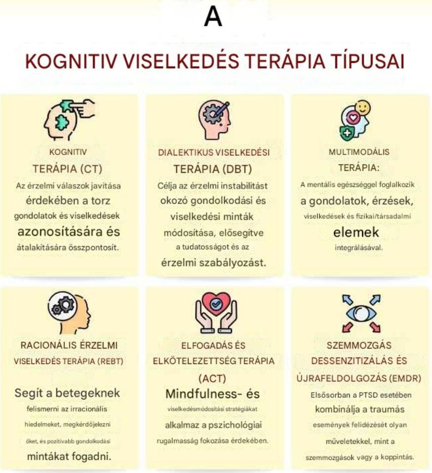 A kognitív viselkedés terápia lehetőségei.