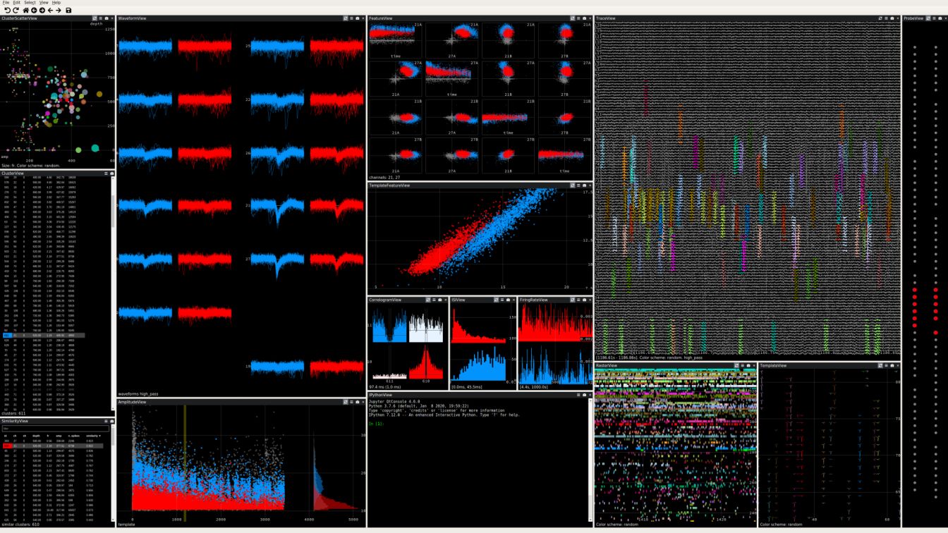Egy clusterező-tüskeválogató program képernyőjének elrendezése. A második oszlop felő ablaka mutatja két sejt szétválogatott tüskéit 11 csatornán. Mellette jobbra a sokdimenziós pontfelhő különböző dimenziók felől nézett nézetei. Alatta egy kiválastott nézet, az alatt pedig a sejtek tüzelésének grafikonjai. Jobboldalt az eredeti sokcsatornás elvezetés különböző nagyítású szakaszai. Ember legyen a fenekén (mert hogy sokat kell ülni), aki eligazodik!