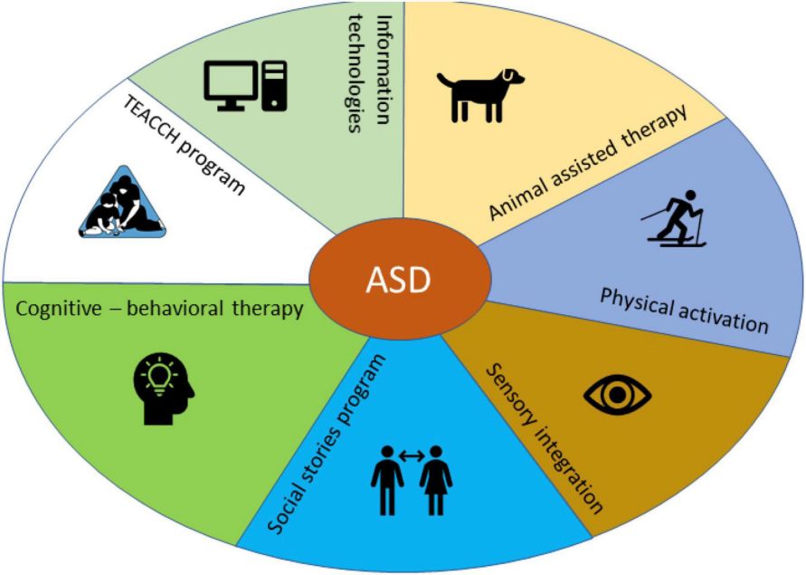 Az ASD kezelésében sok féle nem gyógyszeres terápia szerepel. A betegség jelenleg nem gyógyítható, a betegek beilleszkedésében és a tünetek enyhítésében segítenek a különböző megközelítések.