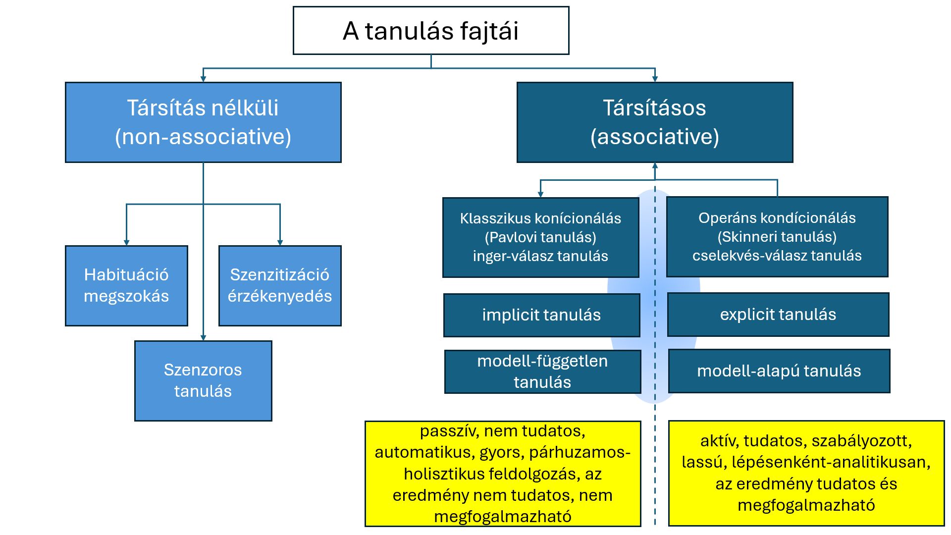 A tanulás fajtái. A társításos tanulást többféle képpen is fel lehet osztani. Lásd a jobboldal három sorát. A bal és a jobb oszlopban található tanulási felosztások jelentős, de nem teljes átfedést mutatnak (erre utal az elmosódott, a tanulásokat magába foglaló ellipszis). A nem átfedő esetekre a példákat lásd a szövegben. A sárga dobozok az két fő kategória tulajdonságait mutatják.