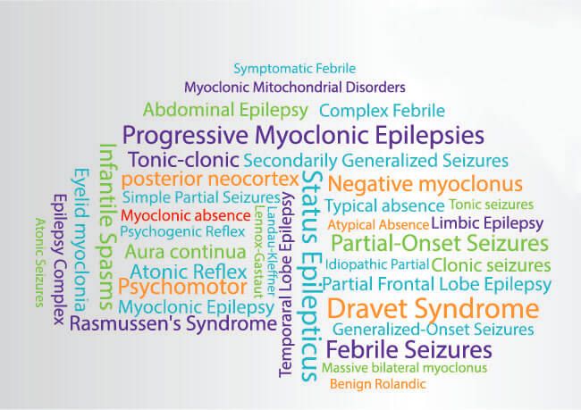 Számtalan epilepszia típus létezik, melyek kiváltó oka az agyban máshol keresendő. Mindegyiket az agy egyedir rendszereiben felépülő, a gátlás sérülése miatt felépülő túlzottan visszacsatolt serkentés okozza.