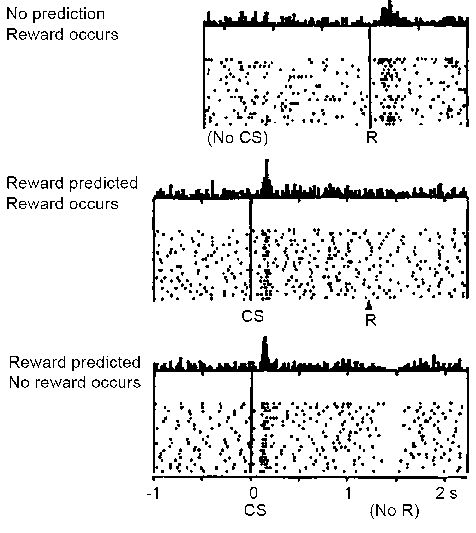 A Jutalom Jóslás Hibáját (Reward Prediction Error, RPE) jelző dopamin sejt aktivitása a ventrális tegmentális területen (VTA). Felül egy váratlan jutalom érkezik (R), ezért a sejt aktív lesz és utasítja az agyat, hogy jegyezze meg ami történt, mert jutalomra vezet. Középen egy ismert ingerre (CS) gyengén reagál a sejt, amikor a jutalom (R) megérkezik, mert már számított a jutalmazási rendszer a jutalomra. Jól válaszoltunk, nem kell tanulni. Alul a korábbi ígéretes ingerre (CS) gyenge a válasz. Mivel nem érkezett jutalom (NoR), a dopamin sejt tüzelésének felfüggesztésével jelzi a negatív RPE-t, azaz hogy felejtsük el amit tanultunk, mert csalódást okozott. Dopamin ugye kétszer szabadul fel, először az ingerrel kapcsolatban jelzi mire számíthatunk, majd a jutalommal kapcsolatban jelzi, mennyivel több mint amire számítottunk.