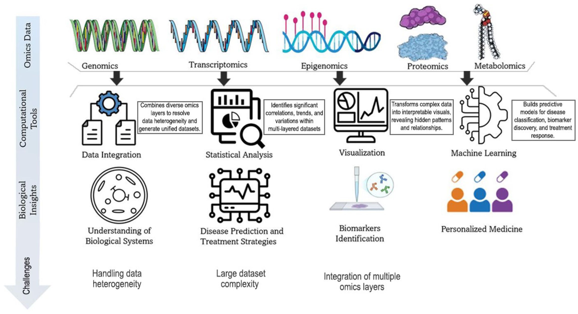 A multiomics mérések integrációjának lépései és lehetőségei. A számos szinten mért rengeteg adatot együtt dolgozzák fel big-data módszerekkel. Ennek alapján következtetéseket lehet levonni a biológiai rendszerek működéséről, betegség felderítő és gyógyító stragtégiákról és egyéni orvoslási lehetőségekről.  