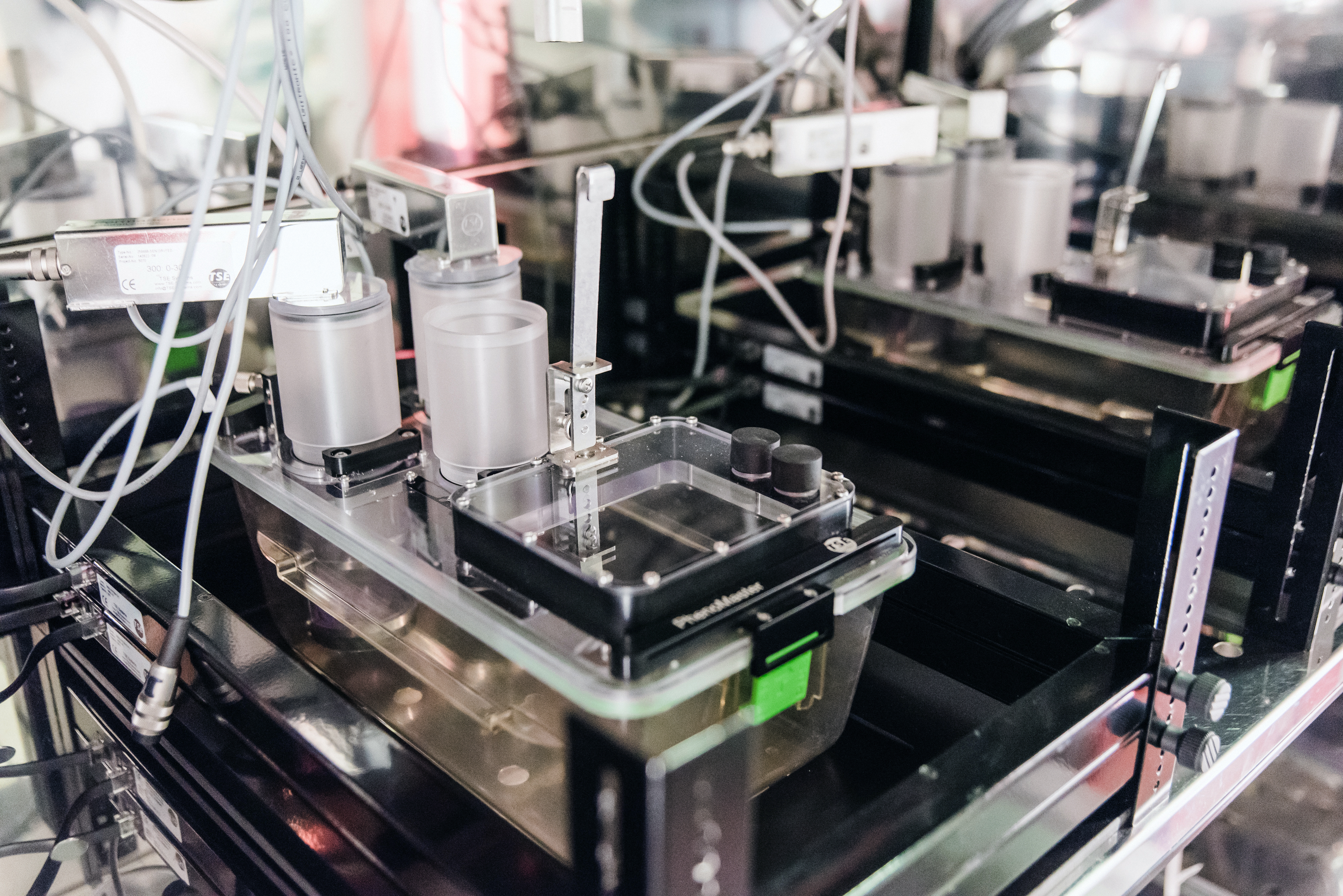 Metabolic Phenotyping Unit profilkép