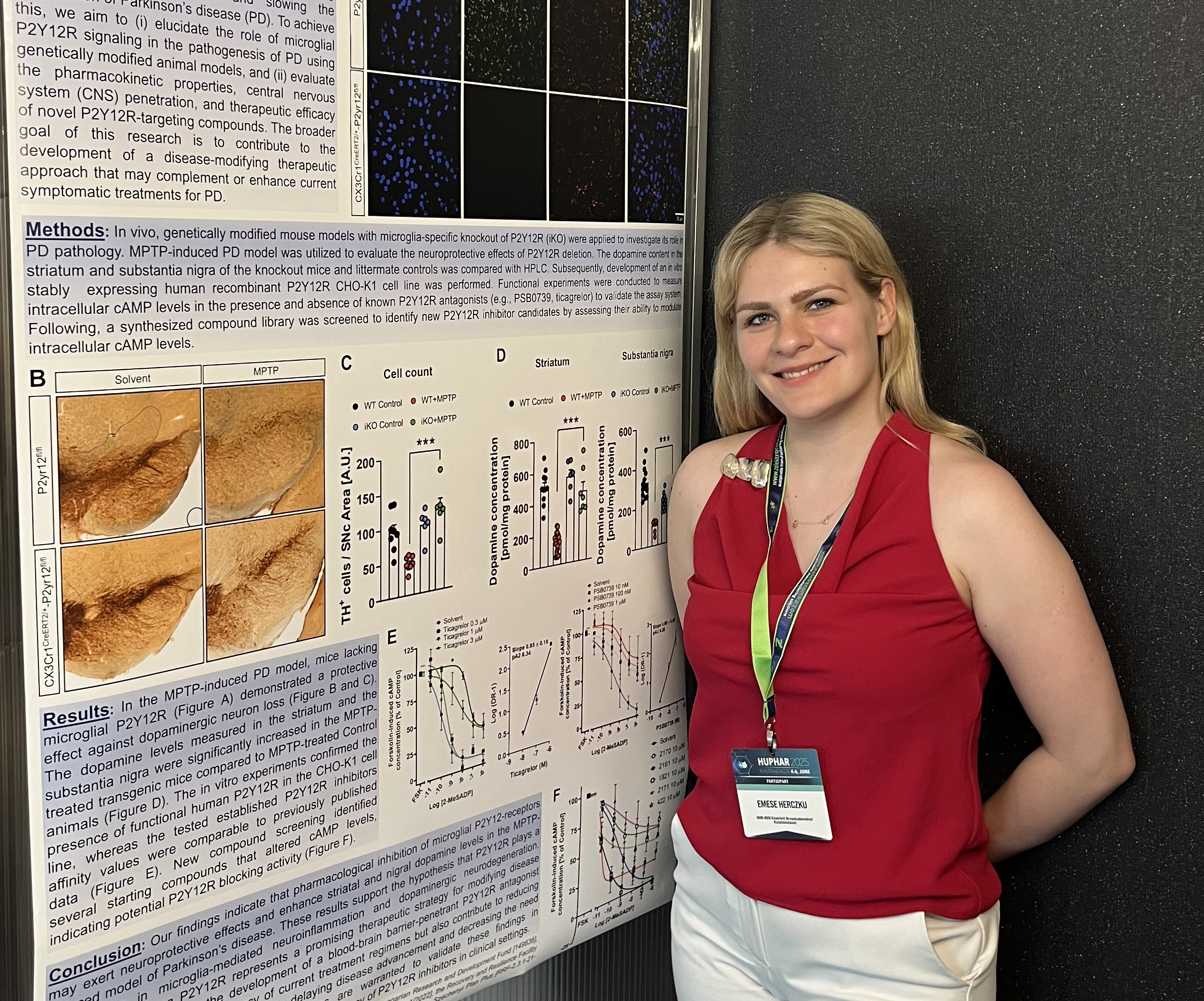 Our newest TDK student presented at the HUPHAR 2025 Conference! diakép