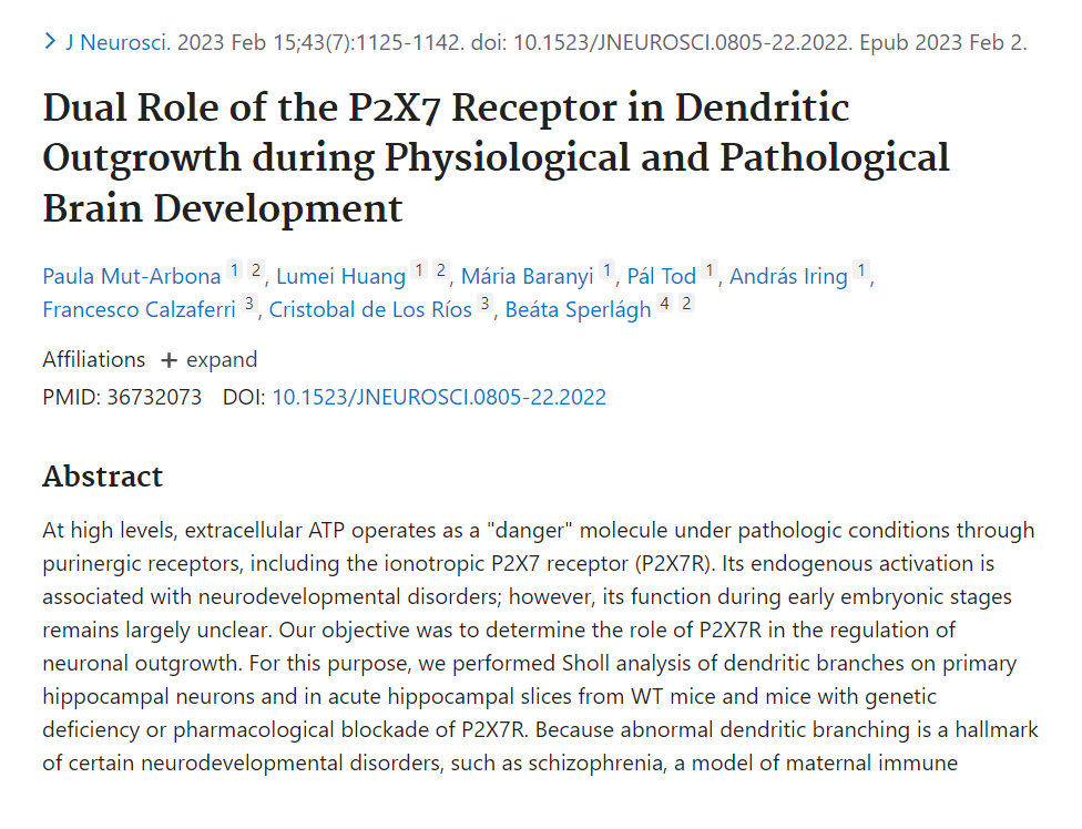2023 first publication in our research group diakép