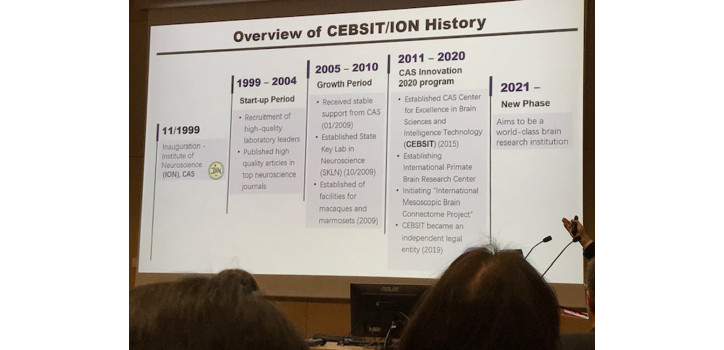 Bridging brains diakép