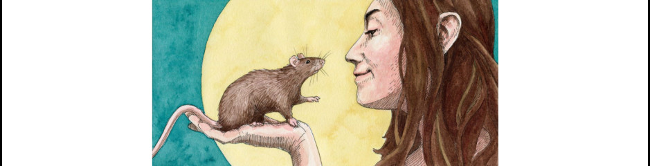 Az emberi gondolkodás plusszai: belső állapotok és többlépcsős gondolkodás