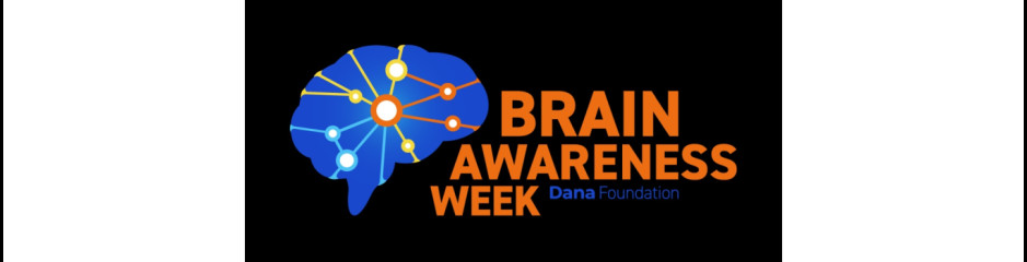 Az agykutatás művészete