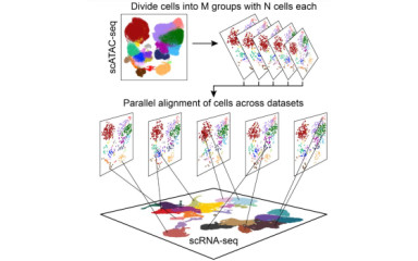 Omics technikák: mérjünk mindent egyszerre