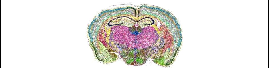 Nyugodt, Békés Ünnepeket kívánunk minden olvasónknak!