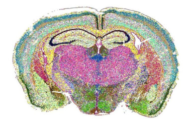 Nyugodt, Békés Ünnepeket kívánunk minden olvasónknak!