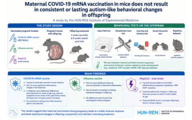 Vaccination even during pregnancy is recommended