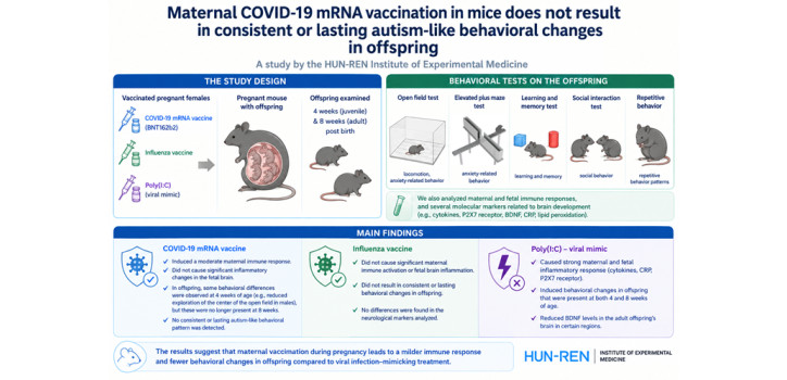 Vaccination even during pregnancy is recommended diakép