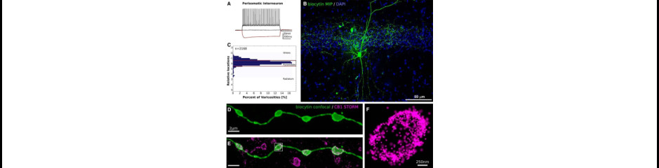 200 éve lendületben a tudomány