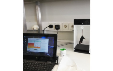 Behavior tests