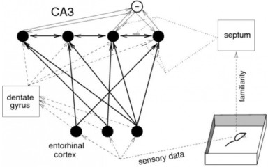 In vivo, in vitro, in silico