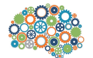 Neuronal bases of cognitive and memory functions and dysfunctions