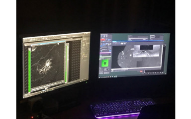 Visit by students from the Kerpel-Fronius Ödön Talent Development Program to our institute