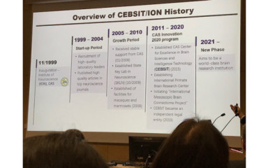 Bridging Brains. The first event of the joint symposium between HUN-REN KOKI and ION Shanghai