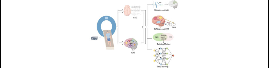 Az idegsejtek suttogásának meglesése IV: Hogyan vizsgálható az idegsejtek működése és a tudatállapotok közötti összefüggés?