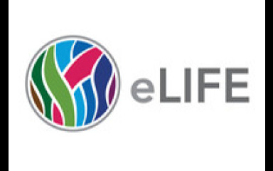 eLife