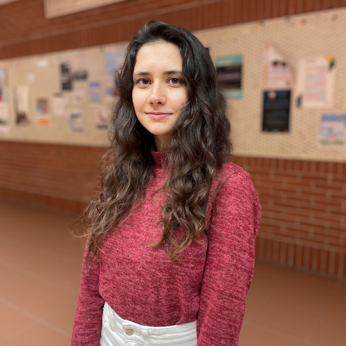 Safiye Chalyshkan