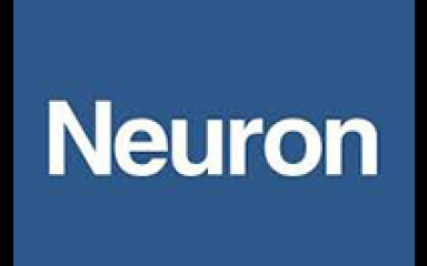 Neuron