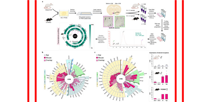 Why is it good to know the transcriptome? The importance of a method and the benefits of the results diakép