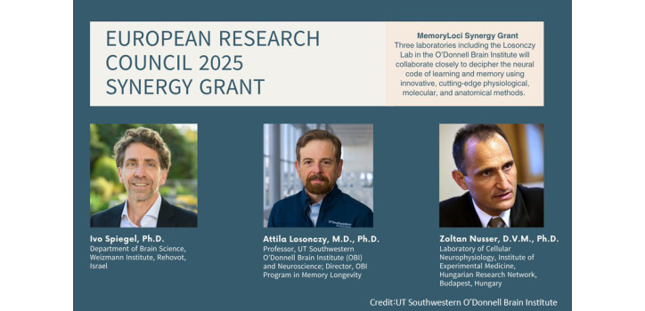 Synergy Grant 2025: Zoltán Nusser, Attila Losonczy, Ivo Spiegel diakép