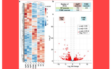 "Transcriptome profiling"
