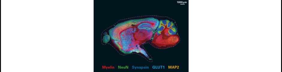 Újkeletű molekuláris-genetikai mérő módszerek: jelölés és nyomkövetés 3.0