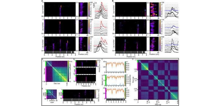 Different mechanisms in the storage of spatial memory diakép