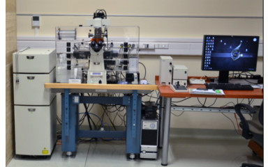 Nikon Ti A1R Confocal Microscope