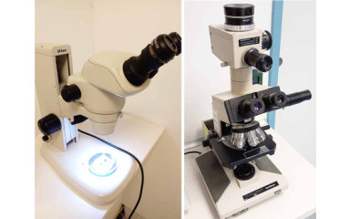 Control light microscopes