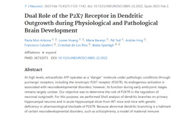 2023 first publication in our research group