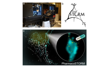 Development of methodology for cell-type-specific nanoscale molecular imaging in brain circuits