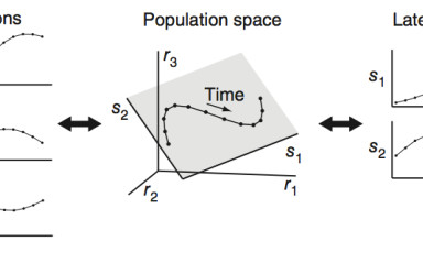 Machine Learning for Neuronal Data Analysis