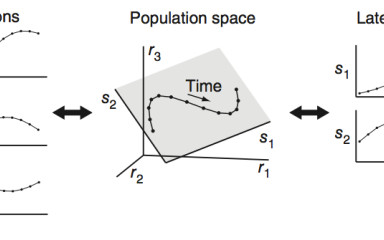 Machine Learning for Neuronal Data Analysis