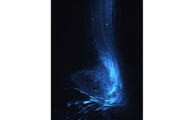 High resolution confocal microscopy