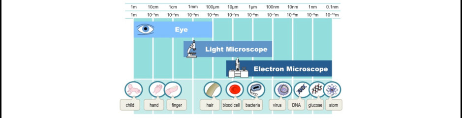 eMikroszkóp: Az elektronmikroszkópok működése