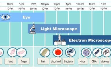 eMikroszkóp: Az elektronmikroszkópok működése